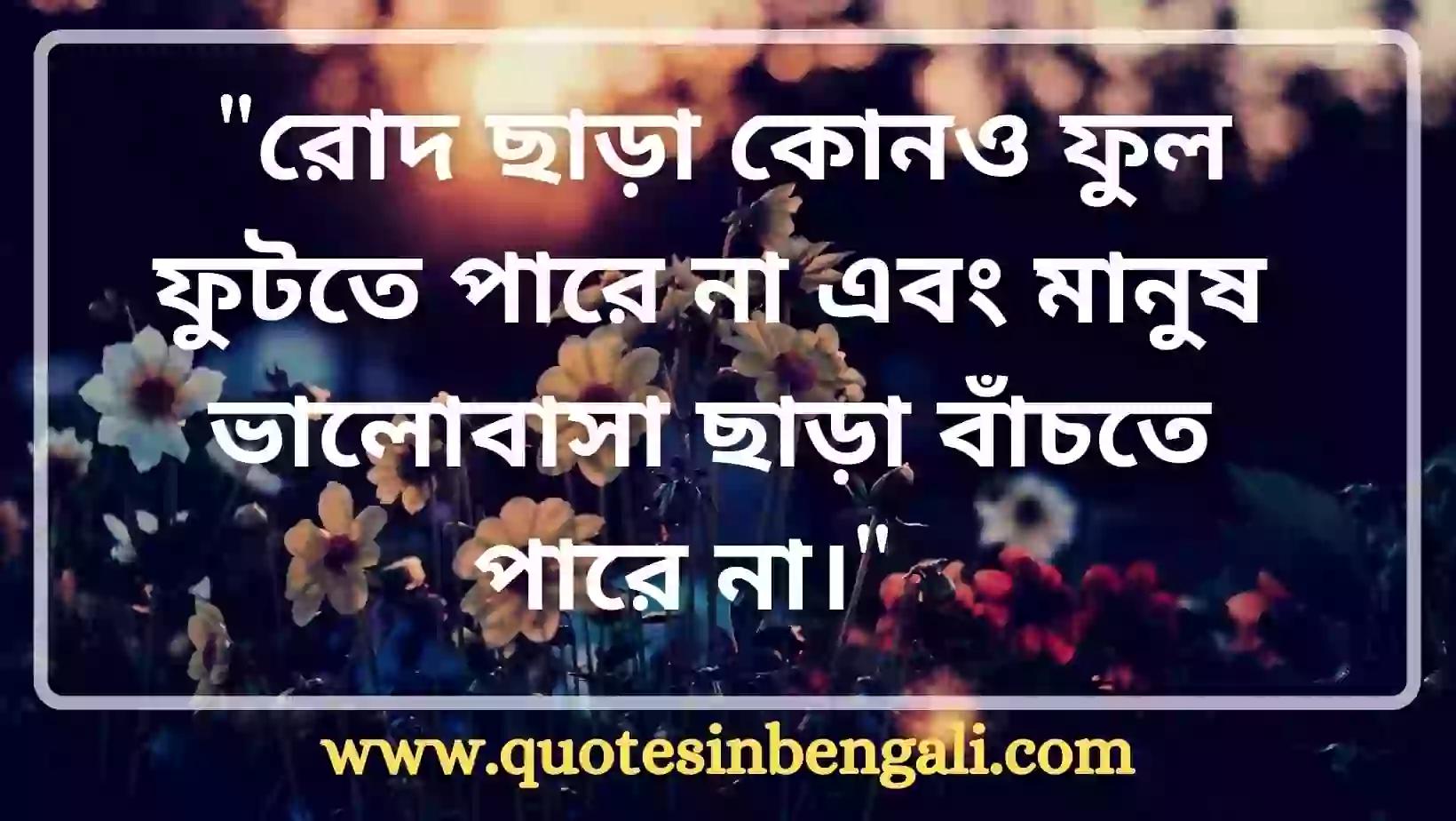 Best ৮০+ Flower Quotes in Bengai (ফুল নিয়ে ক্যাপশন) Flower quotes in bengali