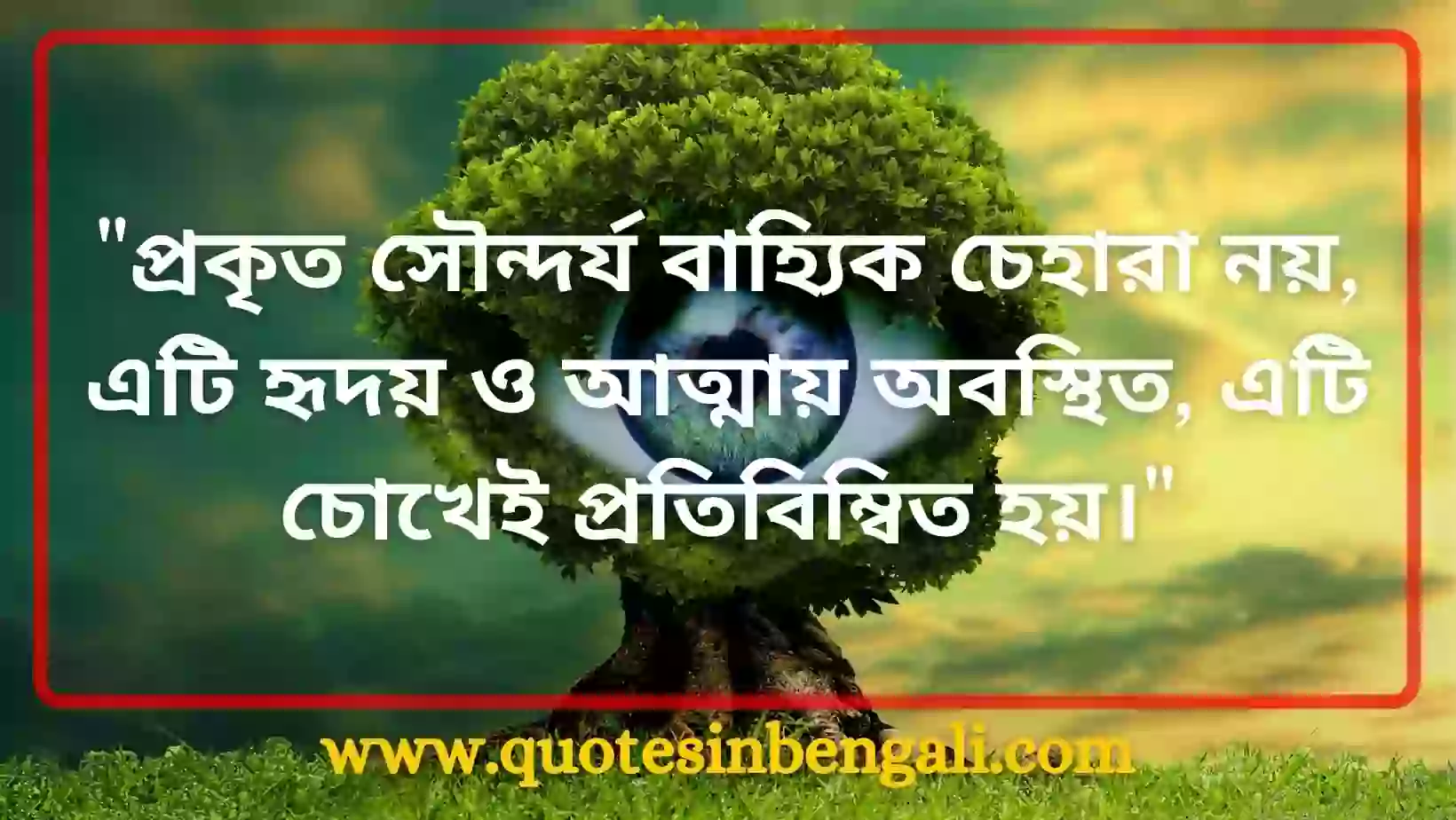 100+ Best চোখ নিয়ে উক্তি (Bengali Quotes on Eyes, Caption) quotes on eyes in bengali